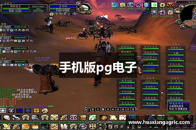 手机版pg电子
